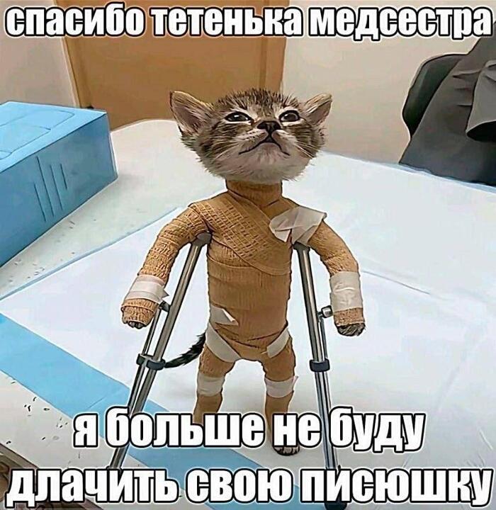 Мы???