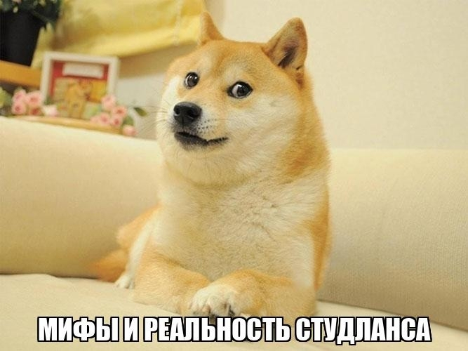������ ����