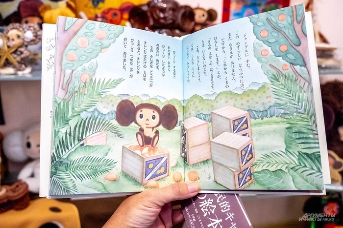 � ��� / ���� ��������