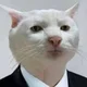 Аватар пользователя anton.gandon