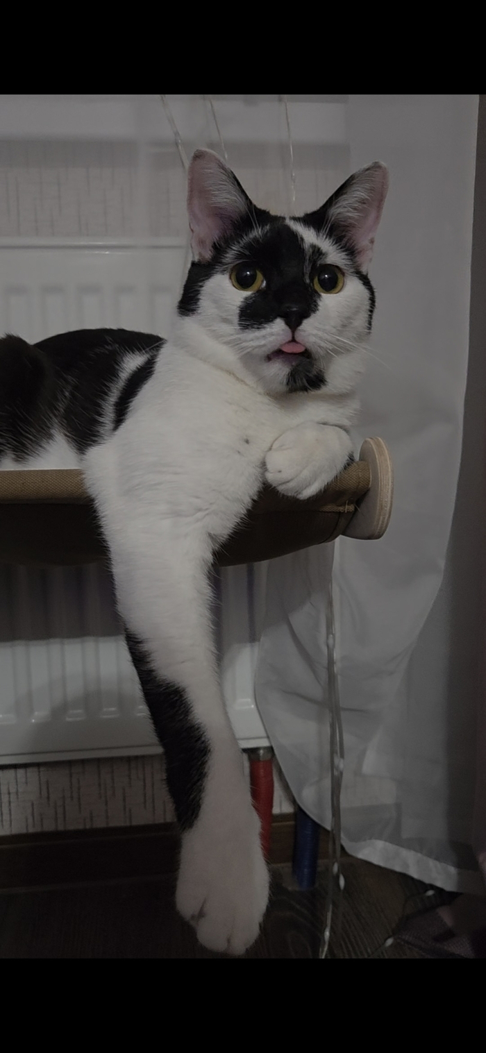 На :P