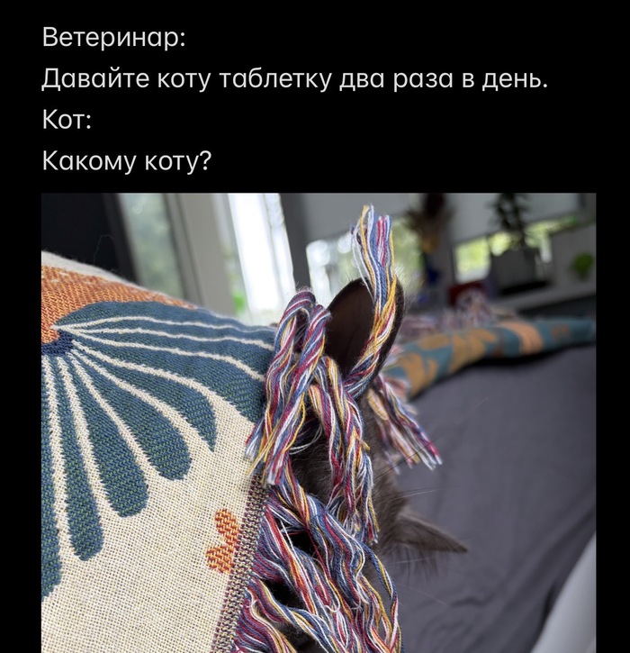 ����� ����� ���?