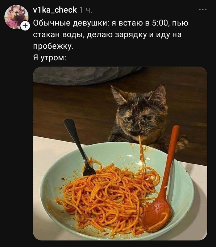 � ��� ��� �����