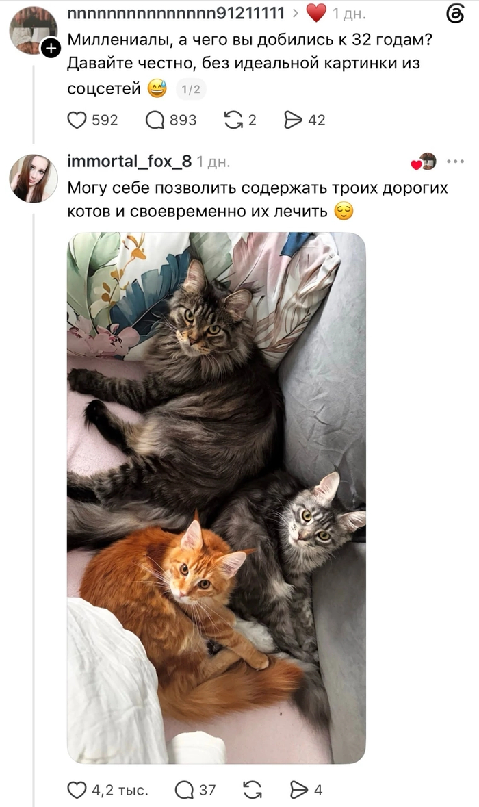 А чего добились вы?