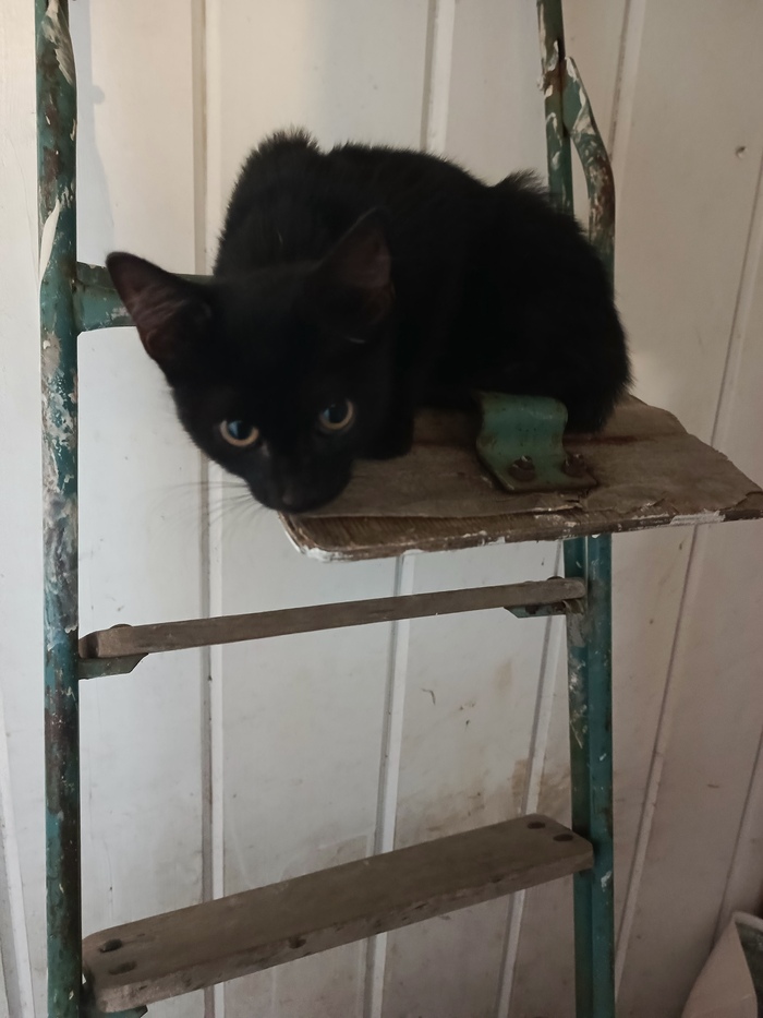 � ��� ����� ������ ������� � ����� �����