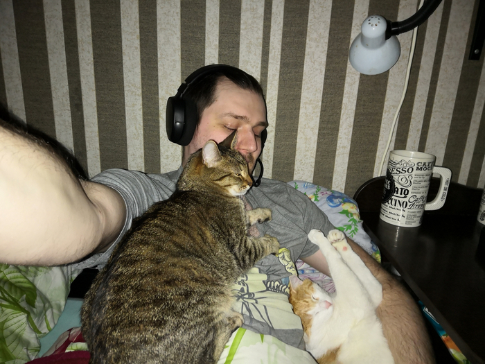 котики также любят на мне спать