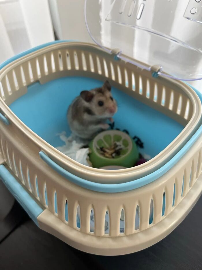 ����