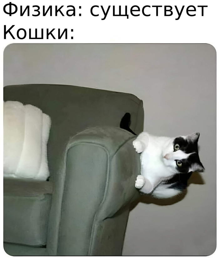 Закончу наверное котиком