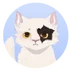 safttaler
