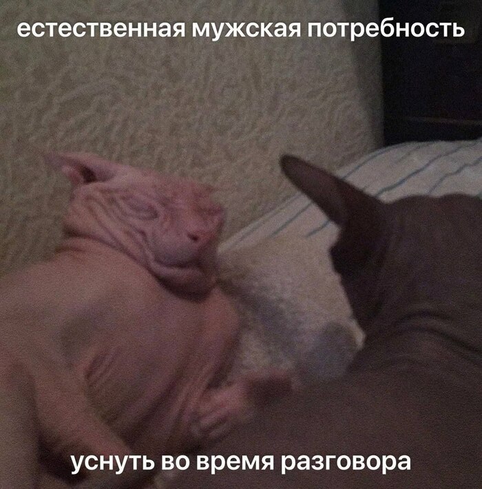 Лучшая колыбельная — звуки голоса своей ненаглядной