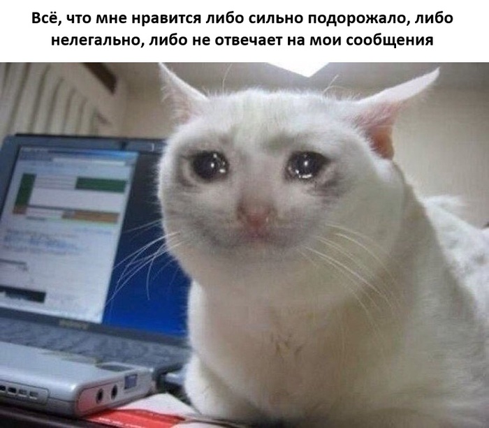 ������