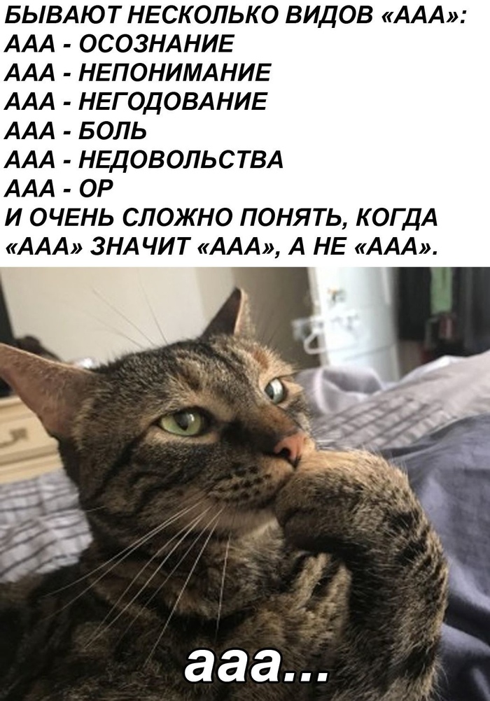Aaa�