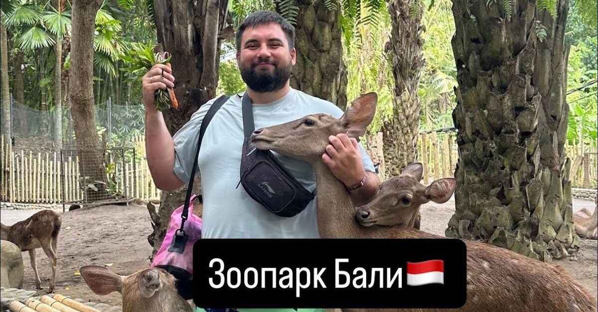 Bali Zoo - Series Travel to Indonesia, My, Asia, Living abroad, Youtube, Interesting places, Bali, Indonesia, Animals, Zoo, Drive, sights, Around the world, Exotic animals, Wild animals, Funny animals, Predatory animals, Island, Zoology, Video