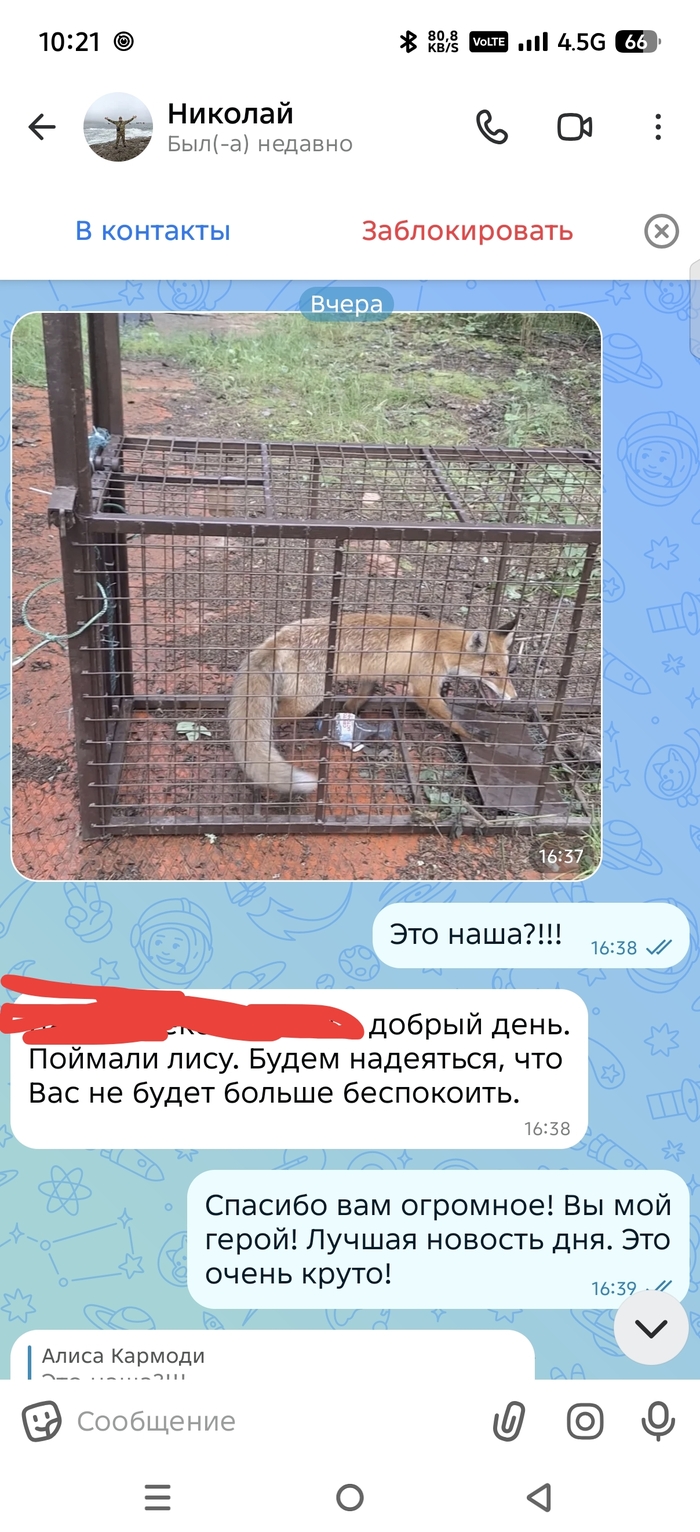 Вы прикиньте, можно позвонить в Спортлото и вашу лису поймают и заберут.