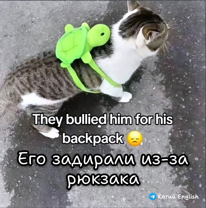 За что его невзлюбили
