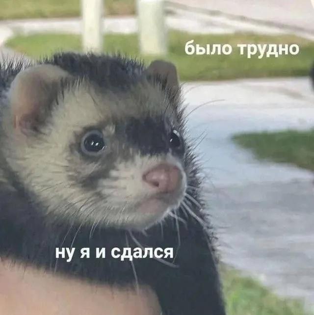 Анимотиваторы