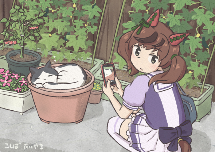 Кот в горшке