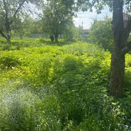 MiroslavaVolgina