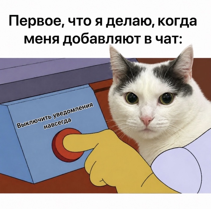 ��, ��� �