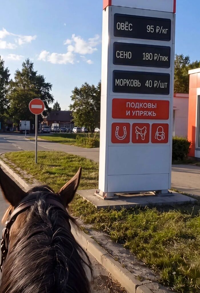 Прогноз на осень