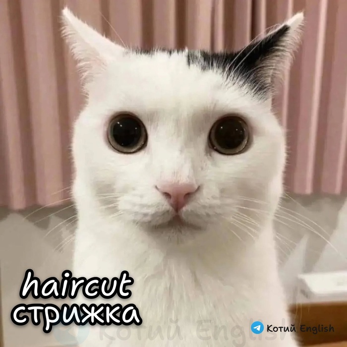 Стрижка