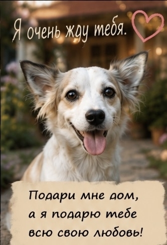 � � � � � � � ������� 7-8 �������