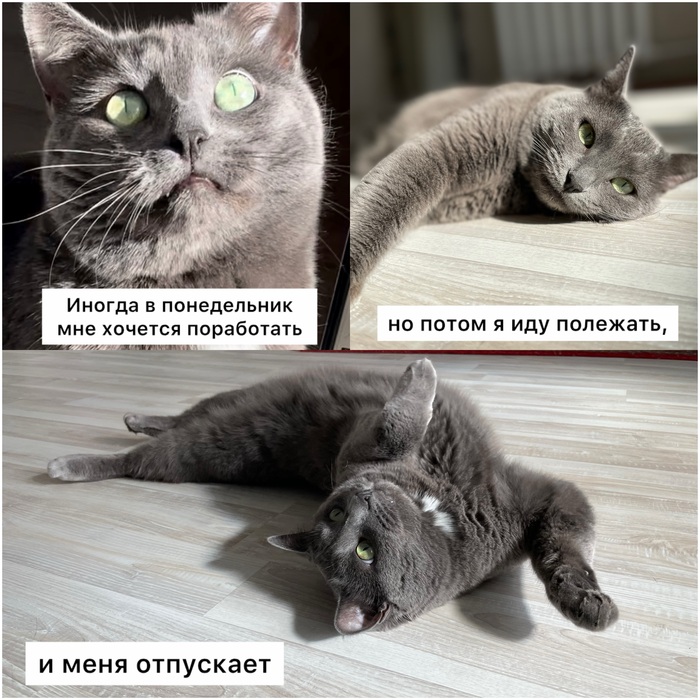 ��, � �������������