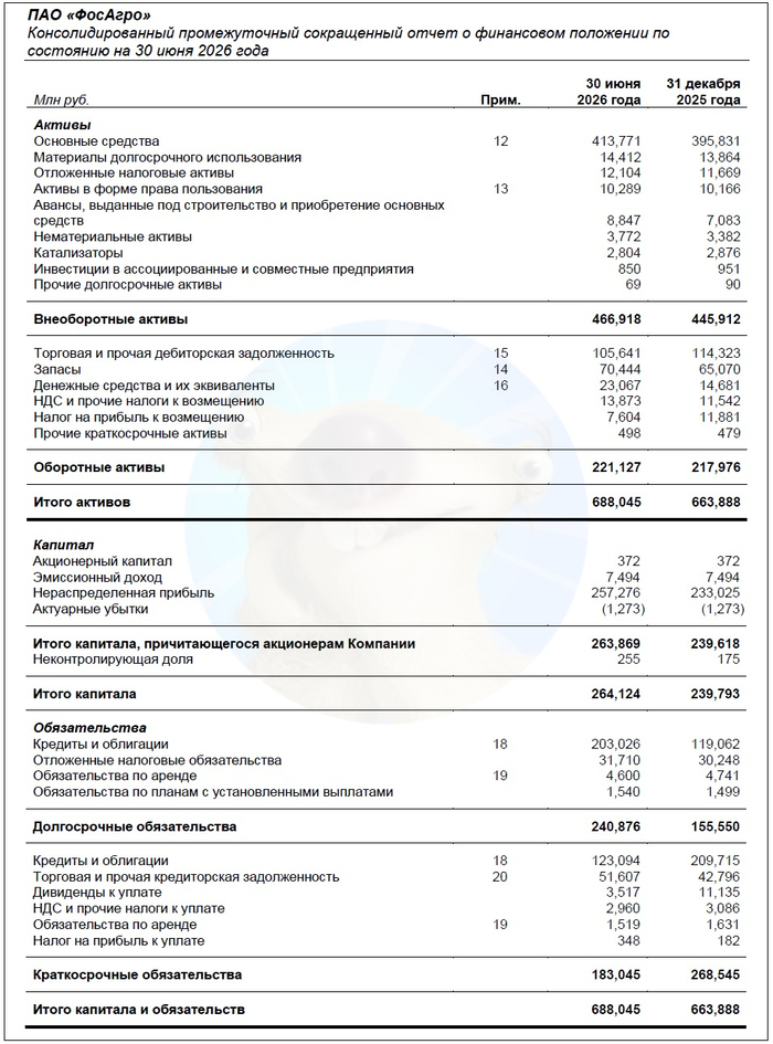 Источник: отчет ПАО «Фосагро» по МСФО за 6 мес. 2026