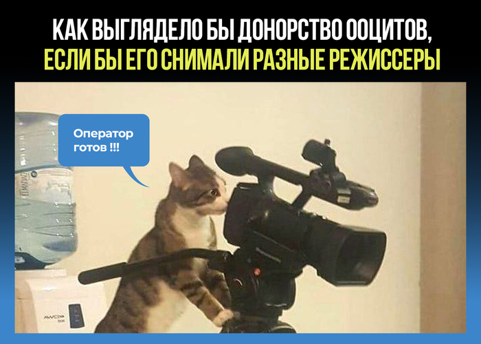 ��� ��������� �� ��������� �������, ���� �� ��� ������� ������ ���������