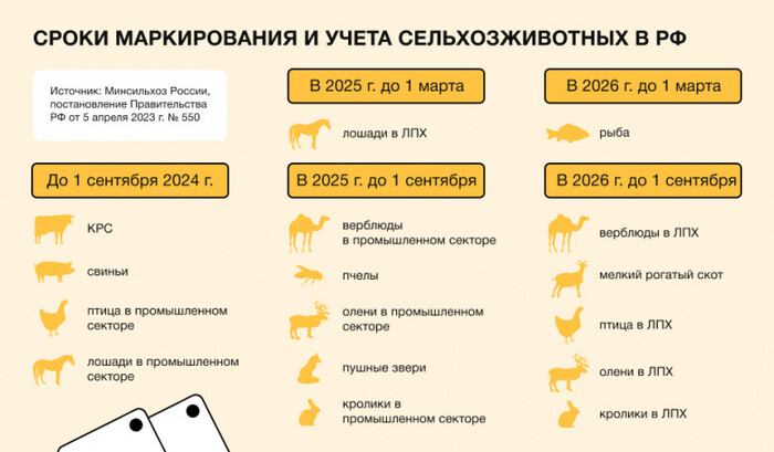 Ответ на пост «Курица и МФЦ!!!»