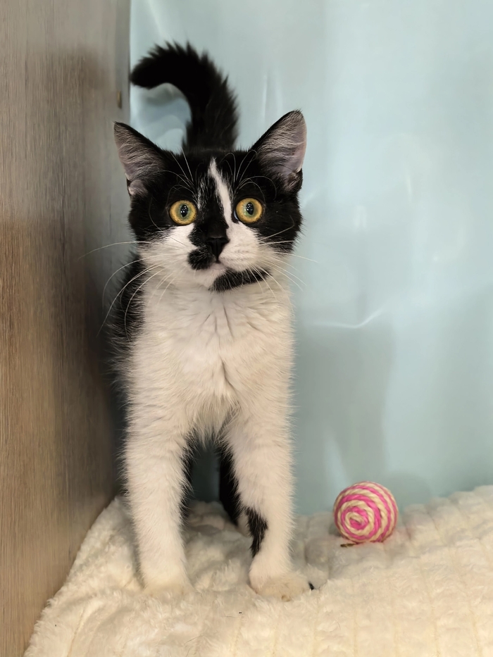 � � � � ����� 2,5 ������