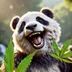 Jolly.PANDA