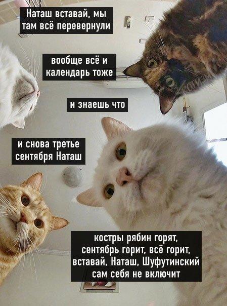 ������ �������� �