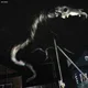 ����� ����� ������ ���� �����������