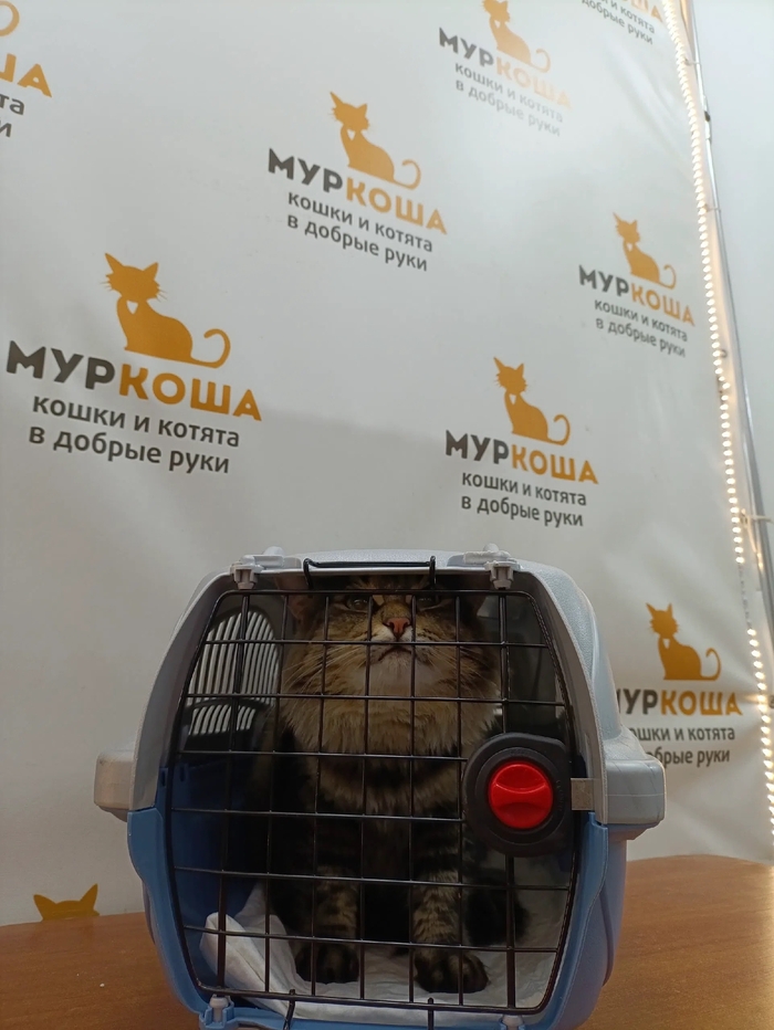 ��� ������� ����� �� ������ ����� 31 ������� 2026 ����