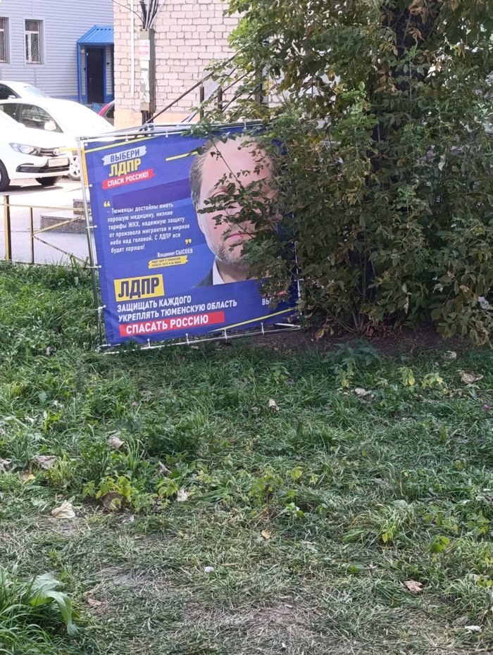 Псс, парень, либеральной демократии не хочешь?