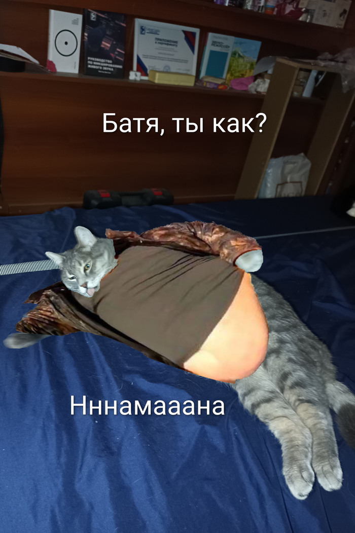����� �� ���� �����, �� ���?�