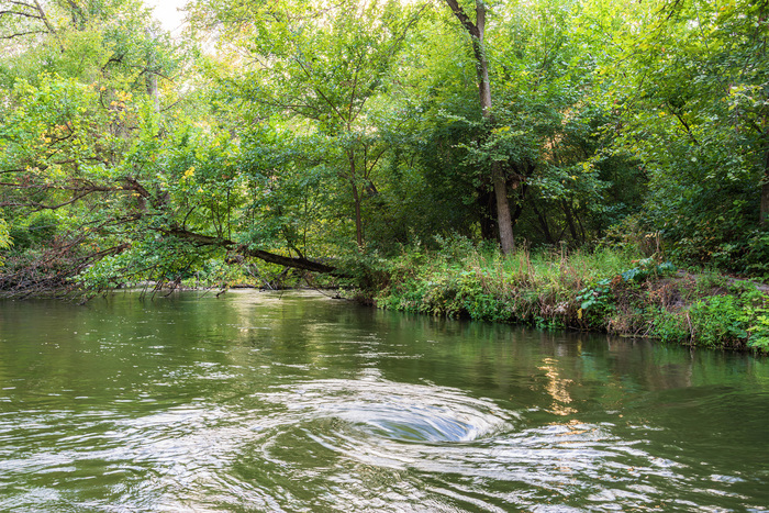Водоворот