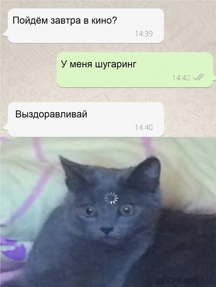 � ����...