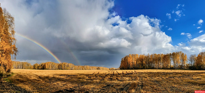 Rainbow