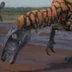 Australovenator9