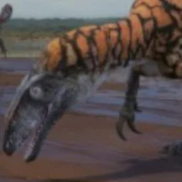 Australovenator9
