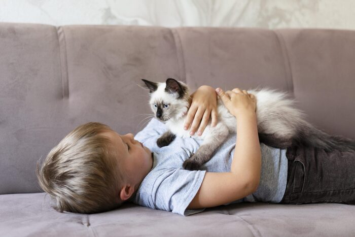 Если ребенку 4-5 лет - заводить кошку вредно?