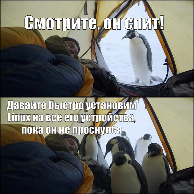 Подлые пингвины