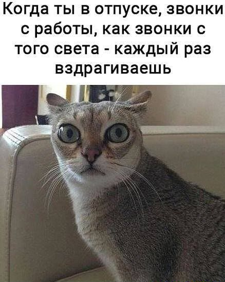 ������������: 44% ��������������� ������ ��������, ����� ���� ������ � ������ �� ����� �������