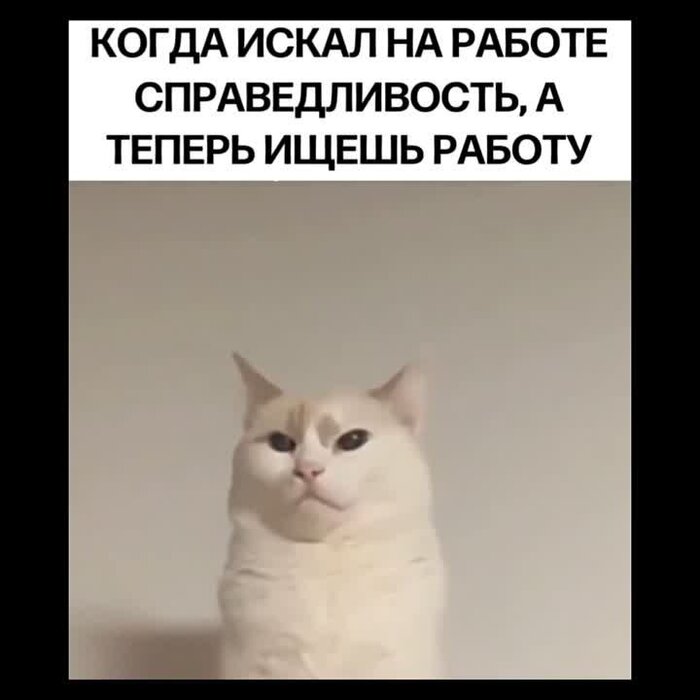 Несправедливо )
