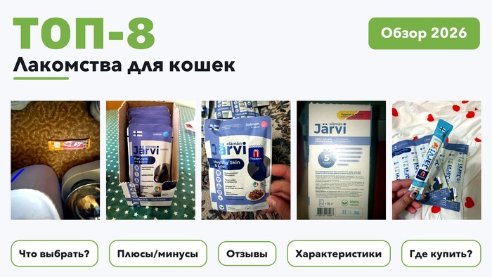 Популярные лакомства для кошек 2026: разобрали более 260 товаров с высоким рейтингом и выбрали лучшие