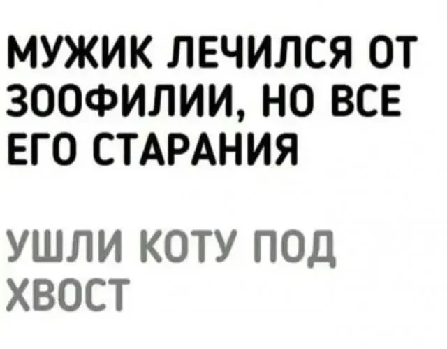 vnq3647c.webp