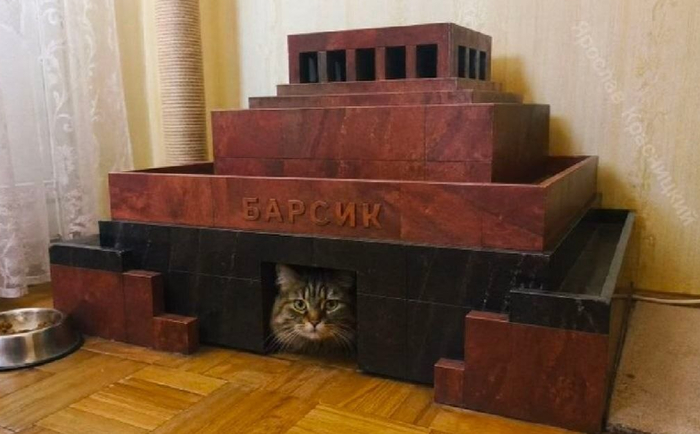 Психолог: – Мяузолея не существует, он не может вам навредить. Тем временем мяузолей: