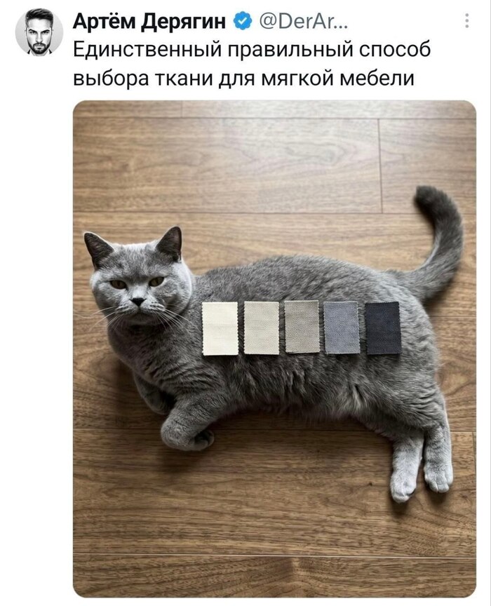Выбор ткани